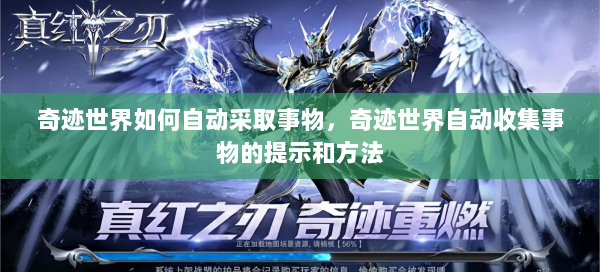 奇迹世界如何自动采取事物，奇迹世界自动收集事物的提示和方法  第1张